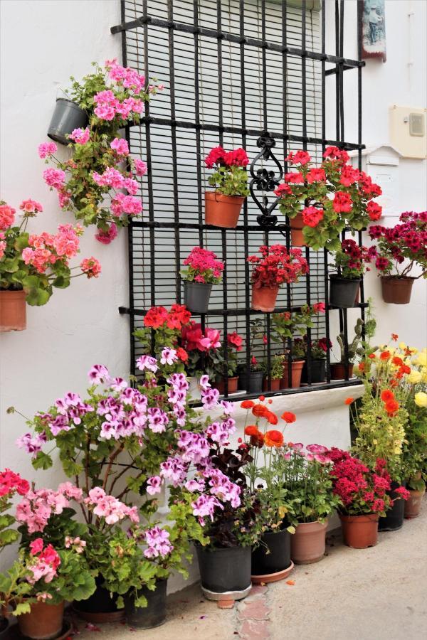 Hostal Moncada Gaucín Exterior foto
