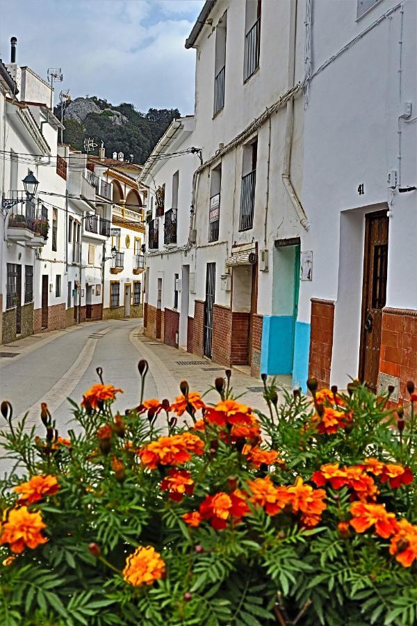 Hostal Moncada Gaucín Exterior foto